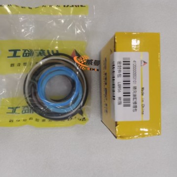SDLG 4120000553101 Steering Cylinder Seal Kit 0.12kg for machine with Good Quality and Price
