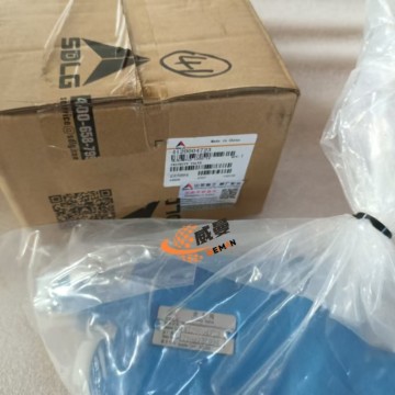 SDLG 4120004723 Priority Valve 5.75kg for machine with Good Quality and Price