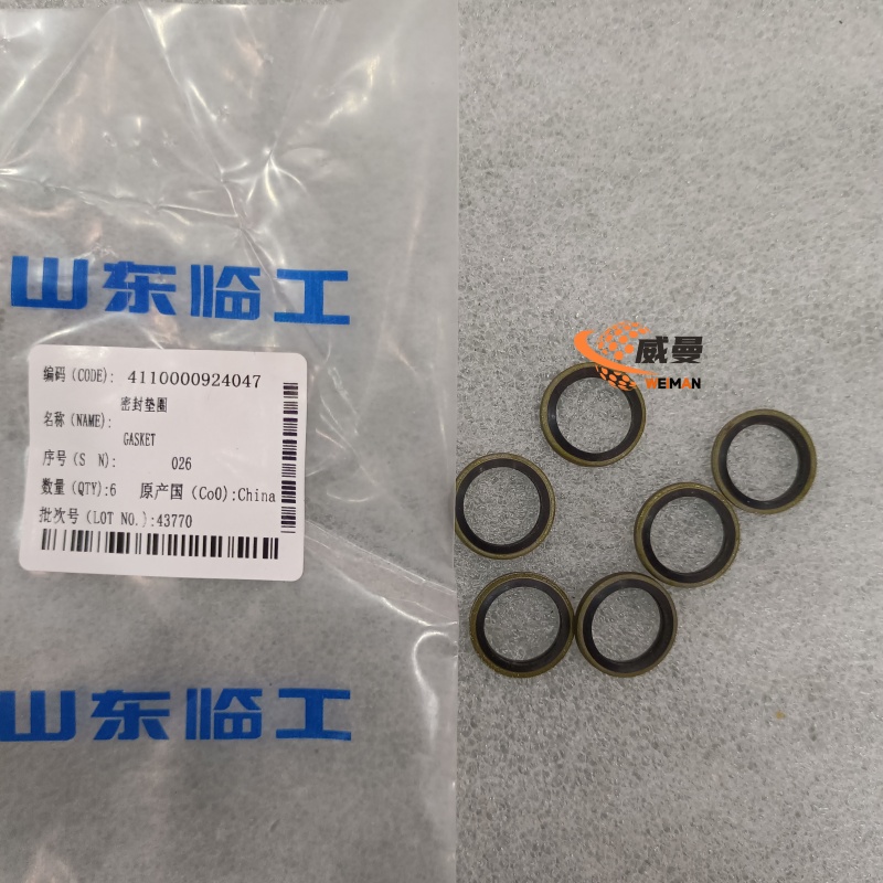 4110000924047 密封垫圈1.jpg