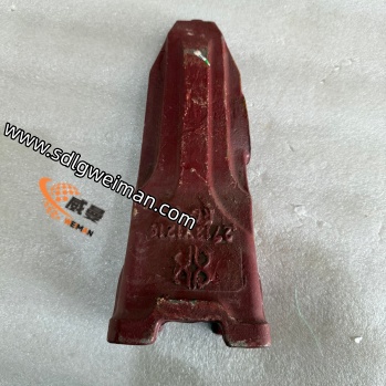 230111-00090-7 (1).jpg