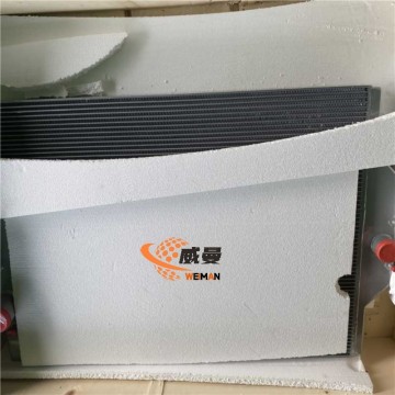 LGMG  4110001925 Water Radiator Assembly  for machine with Good Quality and Price