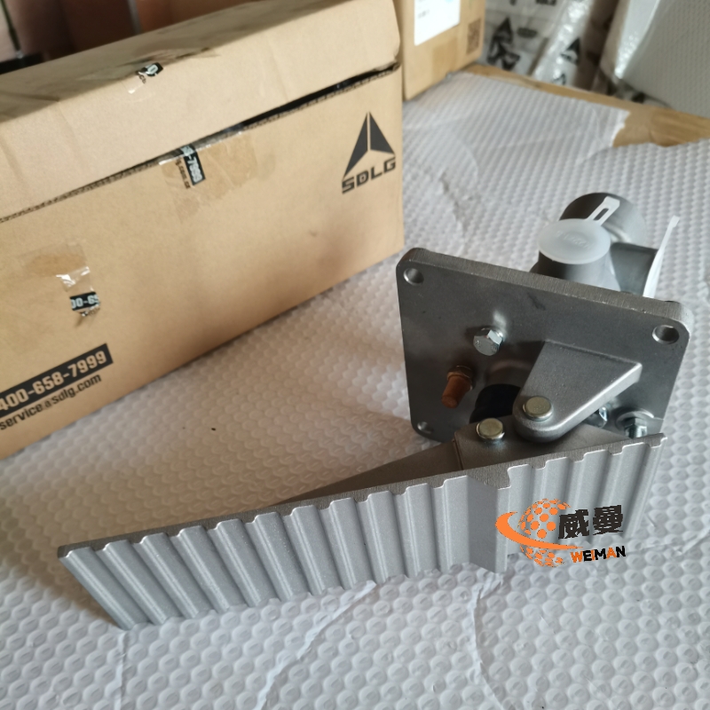 4120006683双联泵10010 (2).jpg