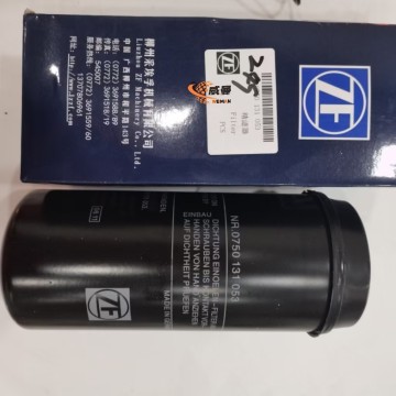 0750131060 Transmission 4wg200 4wg180 6wg200 6wg180 0750131060 Replaceable Filter ZF