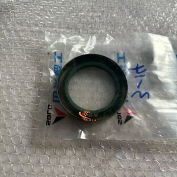 SDLG Sealing Ring 4110000217027 for LG Wheel Loader with good price