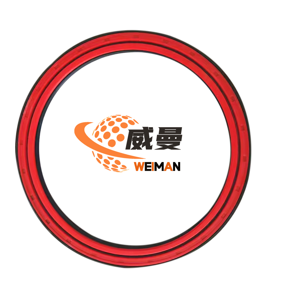 oil seal 4030000146  2.jpg