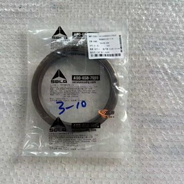 SDLG  Sealing Ring 4110000217052 for LG Wheel Loader with good price