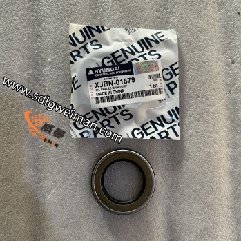 XJBN-01579-3 (1).jpg