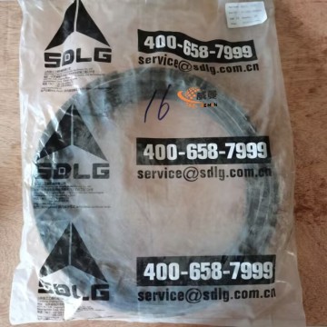 SDLG 4110001903093 Snap Ring 0.17kg for machine with good price