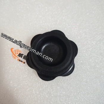 796fd1e3f2d669cd56bd331843e49d78_origin(1) (1).jpg