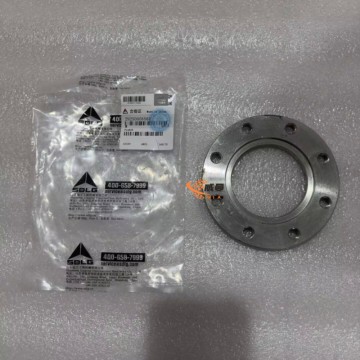 SDLG 29250006561 Flange for LG Machinery with good price