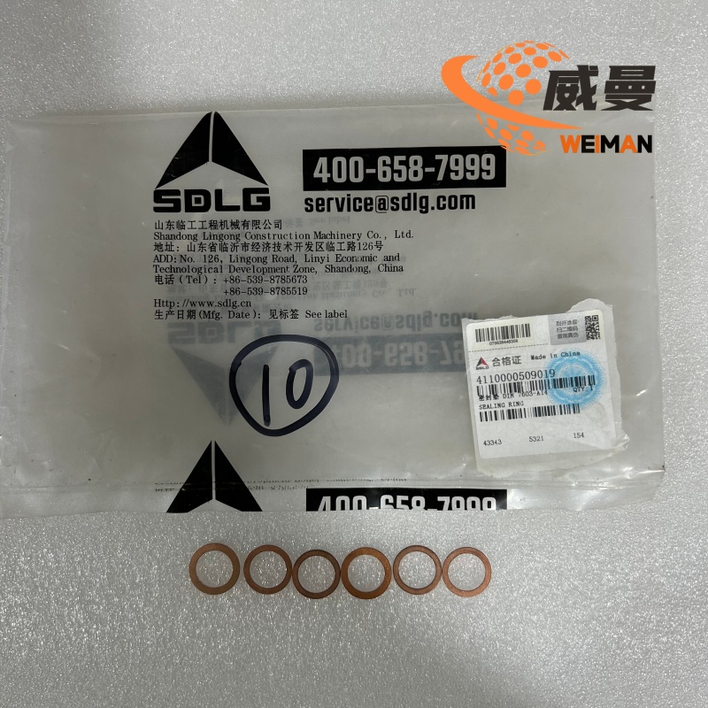 4110000509019-1_副本