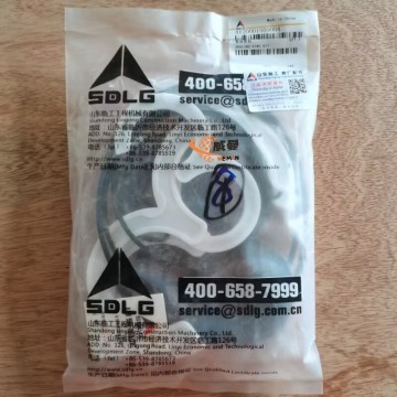 SDLG 4120001059004 Sealing Ring Kit 0.15kg for machine with good price
