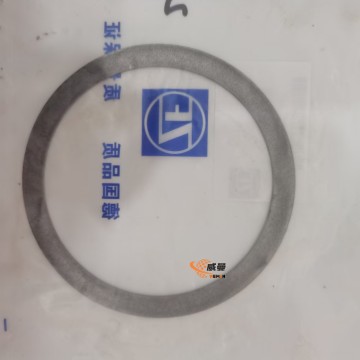 1204308123 Shim ZF PARTS