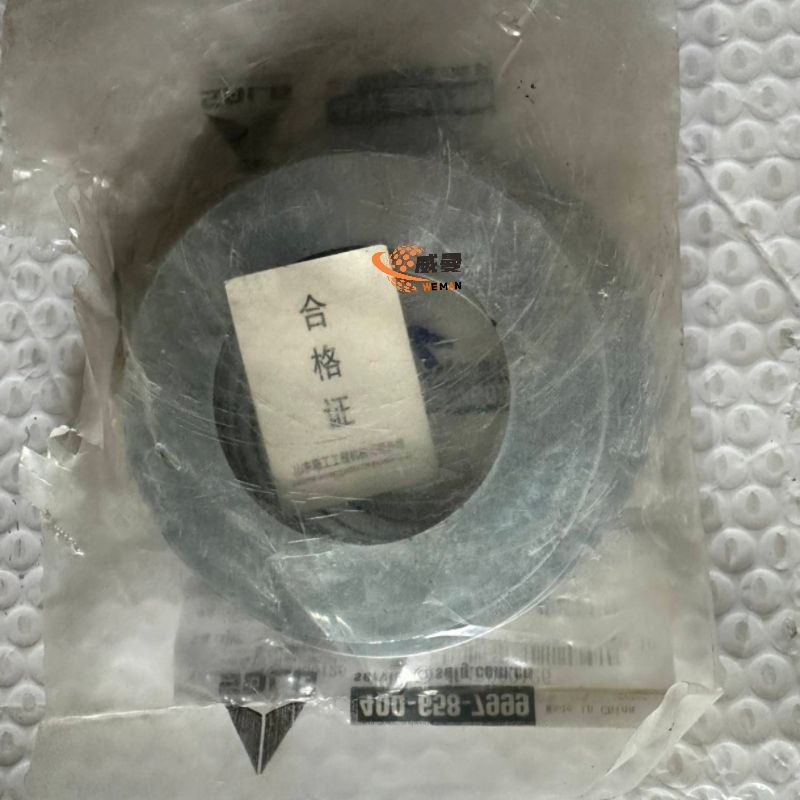 90E286913C11E189C7EAA4A1A71DBAC8