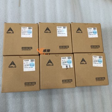 SDLG 4120005995003 Professional Repair Kit – Trusted for Smooth Machinery Repairs & Performance