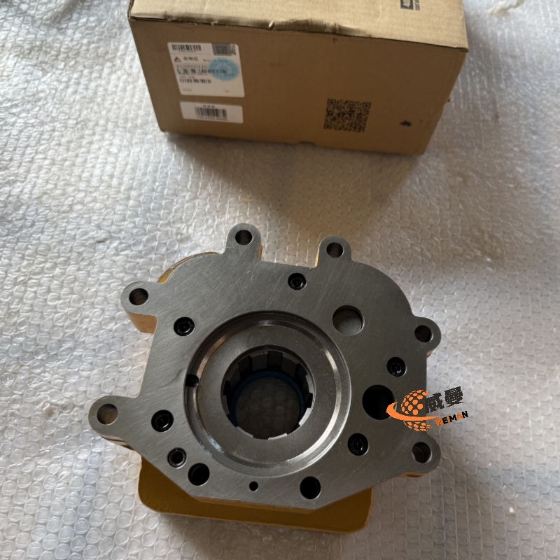 4120005410变速泵LG03-BSB-A (2).jpg