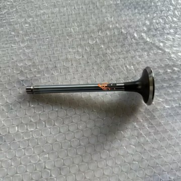 SDLG Exhaust Valve 4110000560144 for LG Wheel Loader with good price