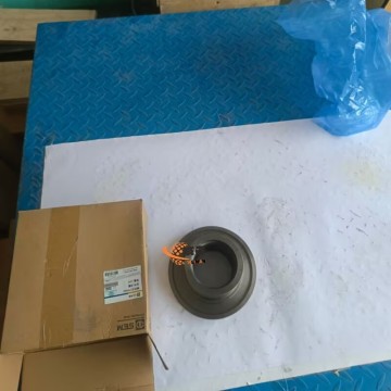 SEM 5174984 TD16030022 Piston 3.5kg for Machine with good price