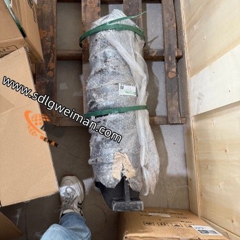 DOOSAN & DEVELON 200101-00151 SPRING ASS TRACK