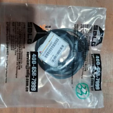 4110000184097 Rotary oil seal