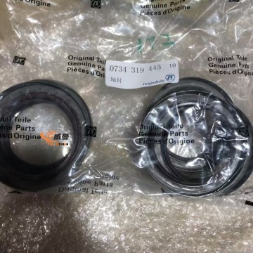 0734319445  type gearbox oil seal  Sealing ring