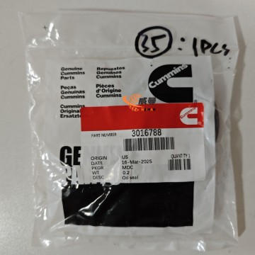 cummins Seal Gasket Crankshaft Rear Oil Seal 3016788 for K19