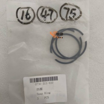 ZF 0730513610 Snap Ring 4110000076294 for machine with Good Quality&Price