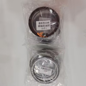 Weichai Detzu 12189888 0.13kg for Machinery with good price