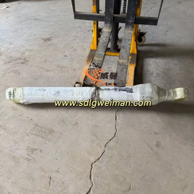 D337AFEE9983F9A19EE2B356DA8A3F0C