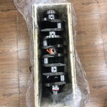 Shangchai D06A-101-51A+B CRANKSHAFT for Machinery with good price