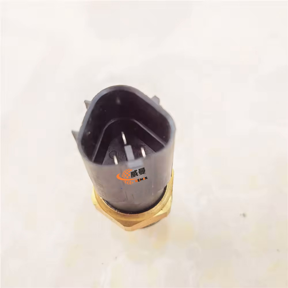 4110000924042 Temperature control 2