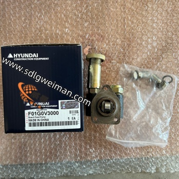 F01G0V3000-3 (1).jpg