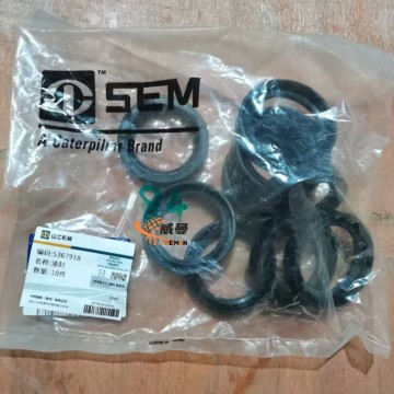 5367918 Oil seals SEM