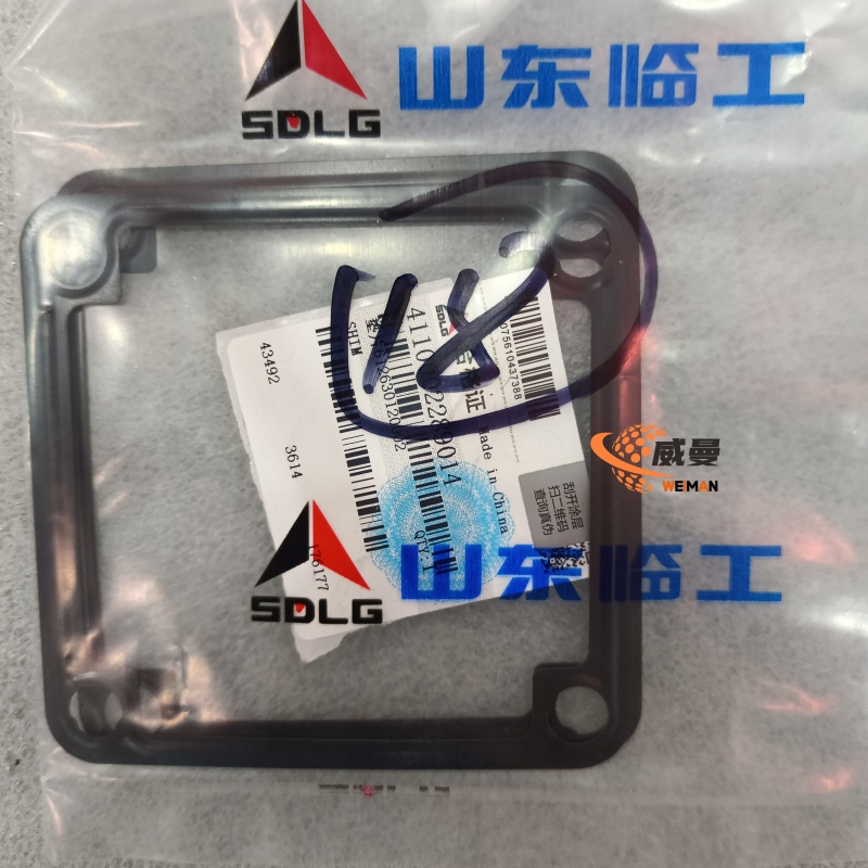 4110002289014 垫片 0.02KG1.jpg