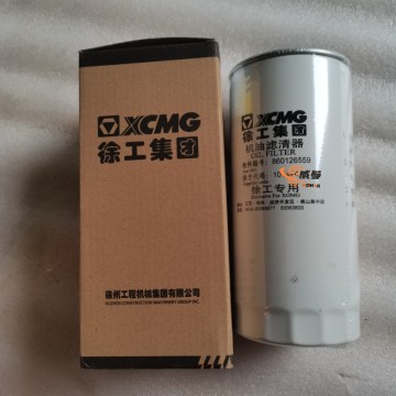 XCMG 860135411 01174421 Filter (1000736512) 0.7kg with good price