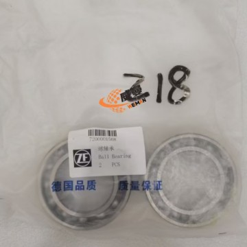 ZF 7200001568 Ball Bearing 0.25kg for machine with Good Quality and Price