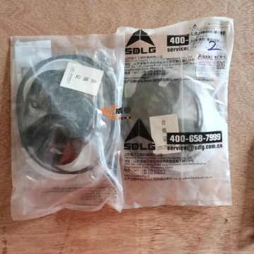 SDLG 4120001059004 Sealing Ring Kit 0.15kg for machine with good price