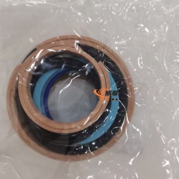 XCMG 860120297 Sealing Kit 0.04kg for Machine with good price