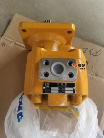 11K0006 Gear Pump CBGJ2063 11K0006 Gear Pump for LIUGONG spare part