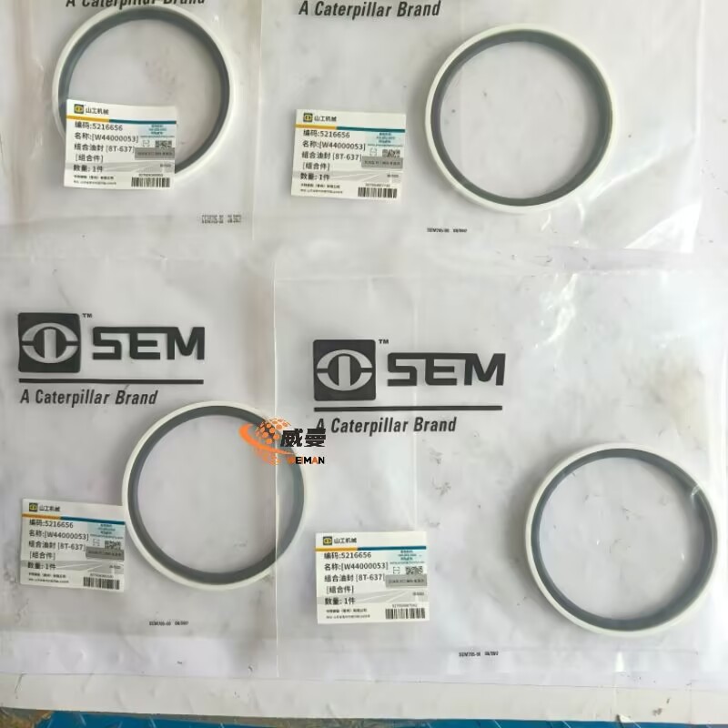 93BDB7AB8E2AC5E53003379628A11C40