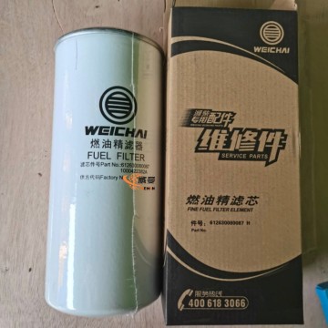 XCMG 860131988 Fuel filter 612630080087H 1000422382 1.05kg with good price