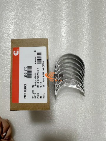 CUMMINS 3901170 6BT 6.7 QSB CON ROD BEARING STD. With GOOD PRICE