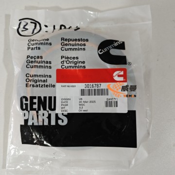 3016787 Oil Seal for Cummins Engine KTA19 KTA38 KTA50 NT855