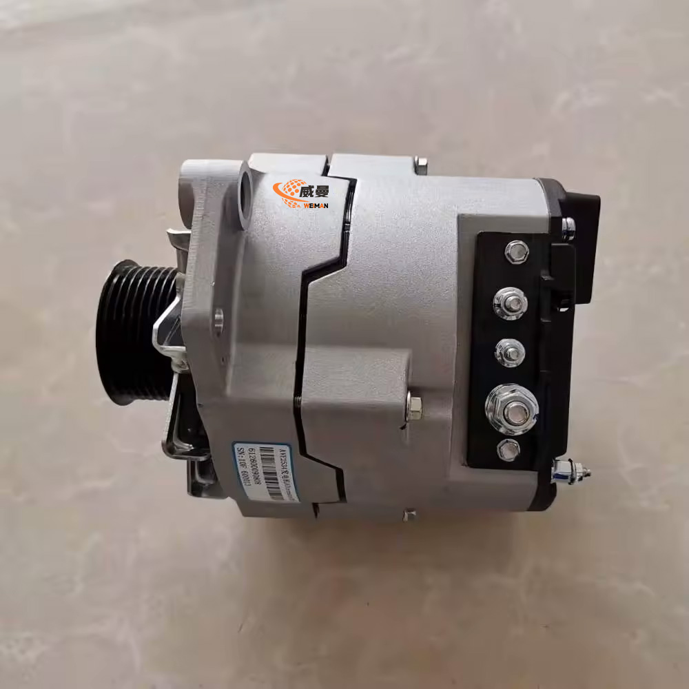 4110000556263 Alternator 2