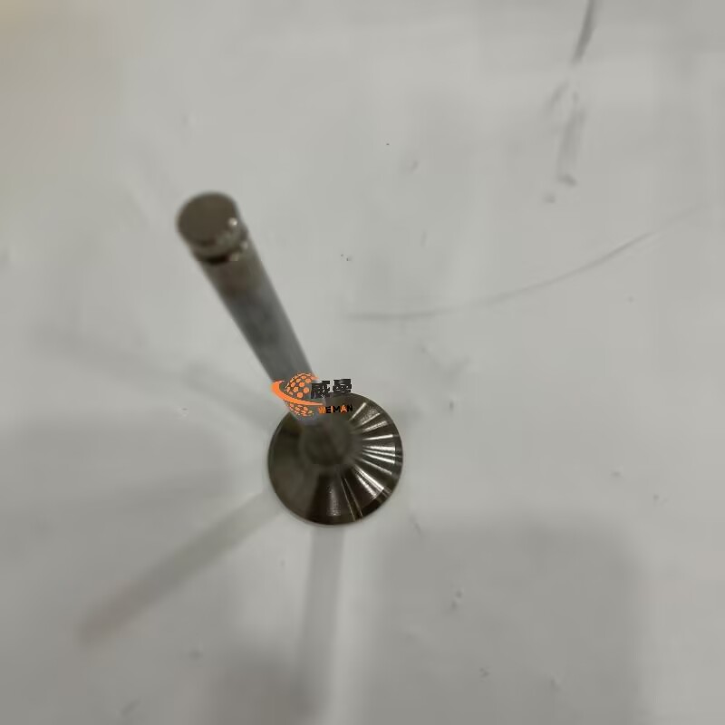 09D125E361FA4F027123705FBAC283A9