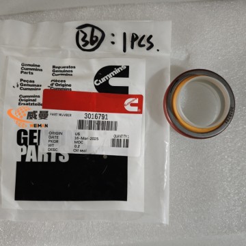 3016791 Oil Seal for Cummins Engine K19 K38 K50 QSK N14 NT855