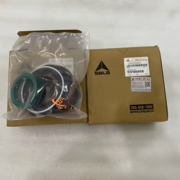 SDLG Steering cylinder seal kit 4120000553401 for LG Wheel Loader with good price