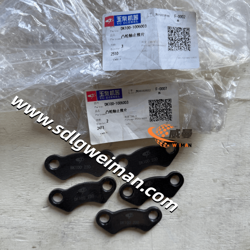 18525019CCA268609B5782228922046B