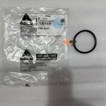 SDLG 4120001739008 Sealing ring JS-ZL50-006 for LG Machinery with good price