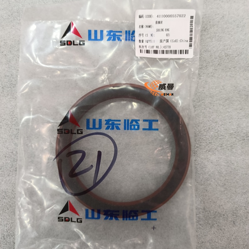 4110000557022 前油封 0.08KG1.jpg